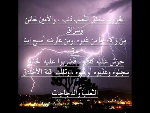 الثعلب والدجاجات