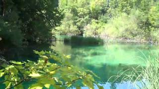 preview picture of video 'Lacurile Plitvice Croatia - Plitvice lakes national park'
