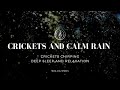 Crickets Chirping And ️Calm Rain ASMR Sound I Deep Sleep And Relaxation 9 Hours Meditation Sound