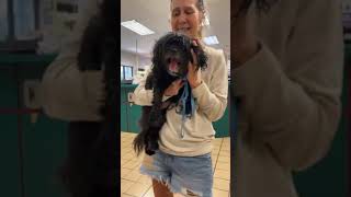 PLEASE HELP BY DONATING TO HELP US SAVE LEXLEY FROM PALM BEACH ANIMAL CONTROL. PLEASE HELP BY DONATING TO HELP US SAVE LEXLEY FROM PALM BEACH ANIMAL CONTROL.