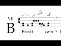 Graduale: Benedicam Dominum