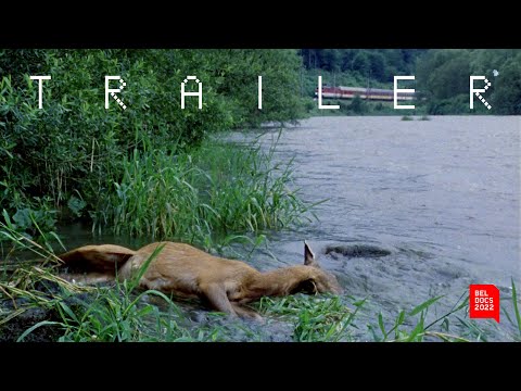 Attention All Passengers | Trailer | BELDOCS 2022