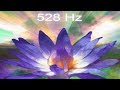 Frequenza Della Felicità 528 Hz La Frequenza Dei Miracoli Rilascia Serotonina Endorfina Dopamina