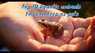 Top 10 Aquatic animals You can keep as pets