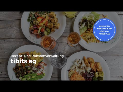 Implementierung ERP System Microsoft Dynamics NAV bei tibits