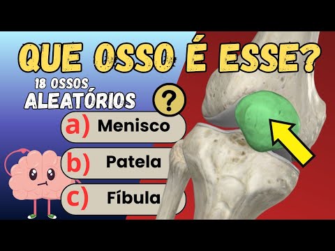 Quiz Ossos do Corpo Humano: 18 Questões Desafiadoras | Quiz de Anatomia 🦴🧠