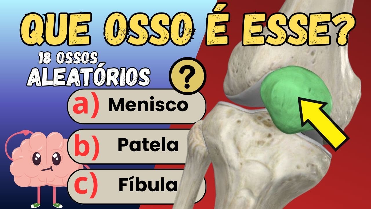 Quiz Ossos do Corpo Humano: 18 Questões Desafiadoras | Quiz de Anatomia 🦴🧠