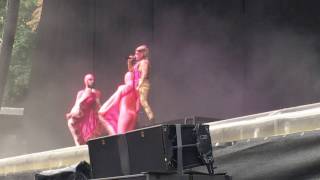 Peaches Waldbühne 2016 Vaginoplasty 2