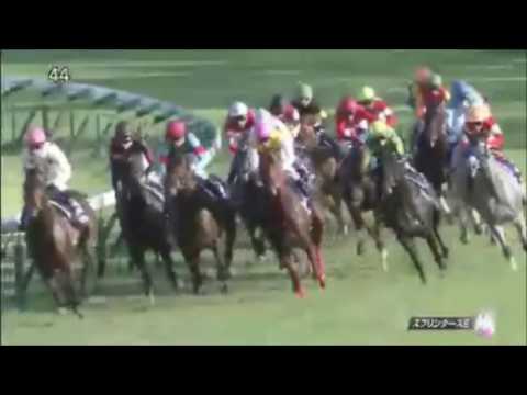 スプリンターズステークス2016