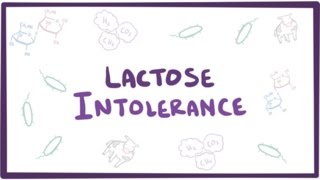 Lactose intolerance - causes, symptoms, diagnosis, treatment &amp; pathology