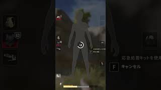 めっちゃ集中してるのに味方がうるさすぎた件　#pubg