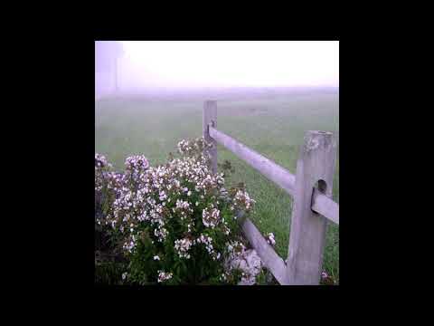 [FREE] skele x nothing,nowhere / midwest emo Type Beat - "Stay the night" (Prod.2001 x Pekarot)