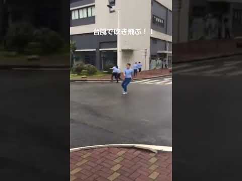 【速報】台風で吹き飛ばされる #ハプニング #台風 #面白い