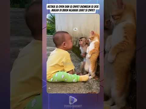 KETIKA SI OYEN DAN SI ONYET DIOMELI SI OCILMALAH DIBIKIN NGAKAK LIHAT SI ONYET #shorts #lucu #ngakak