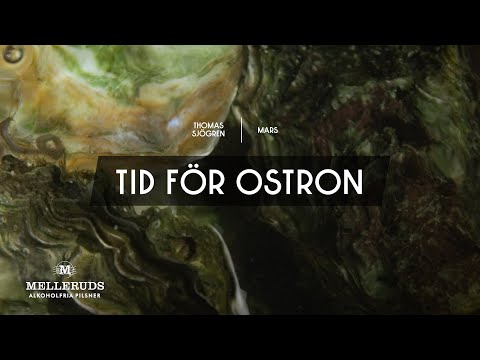 Melleruds x Thomas Sjögren – Tid för ostron