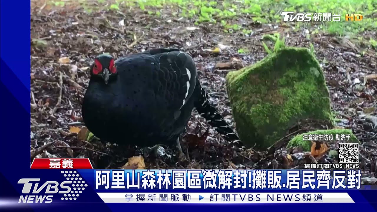 阿里山森林園區微解封！　攤販、居民憂破口齊反對