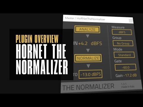 The Normalizer by Hornet / Auto Gain Staging - every daw should have this