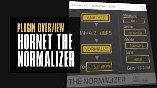 Video thumbnail for The Normalizer by Hornet / Auto Gain Staging - every daw should have this by Polarity Music