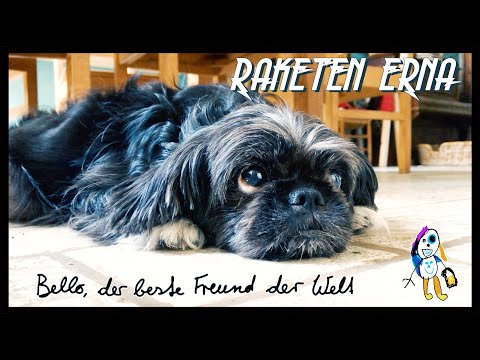 Raketen Erna - Bello, der beste Freund der Welt