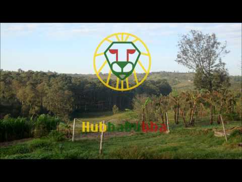 Dub Caravan ft. NRG-D - Praising Jah Dub