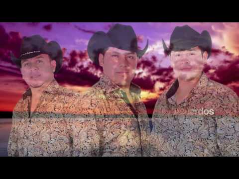 Los Carnales de Nuevo León - Catorce de Febrero (Video Lyric)