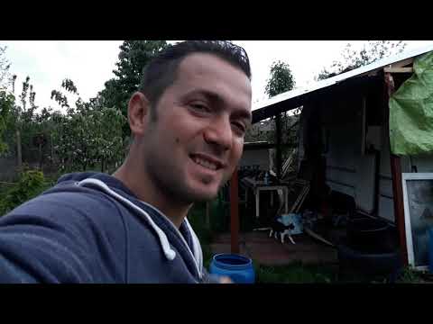 Tamadau peste noapte. 04.05.2019