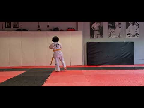 ITF Taekwon-Do Pattern 1(Chon-Ji)19 Movements