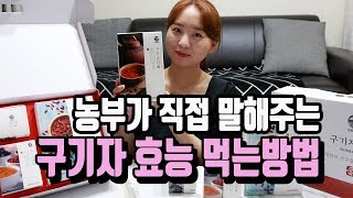 구기자효능 먹는방법!!