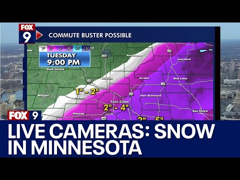 Live cameras: Winter storm warning in the Twin Cities