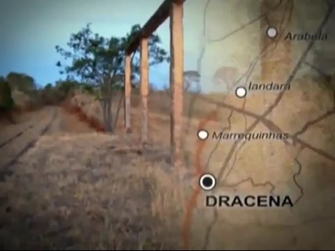 O TREM PASSOU E A GENTE FICOU