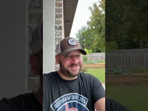 The Wolves Are Turning On Each Other 🤣🤣🤣🤣🤣 #shortsvideo #shortsfeed #congress #cnn Thumbnail