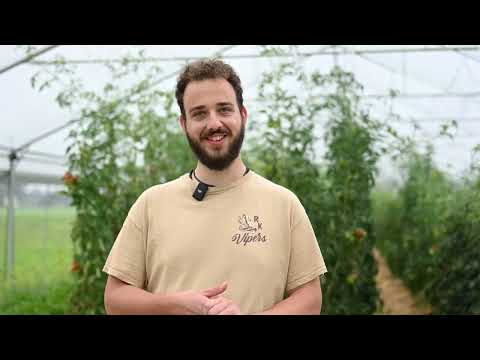 Olde Vechte Foundation | Active Collective