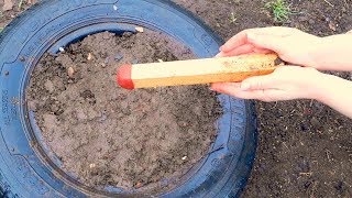 Закопайте Спичку в Саду и Смотрите что вырастет.