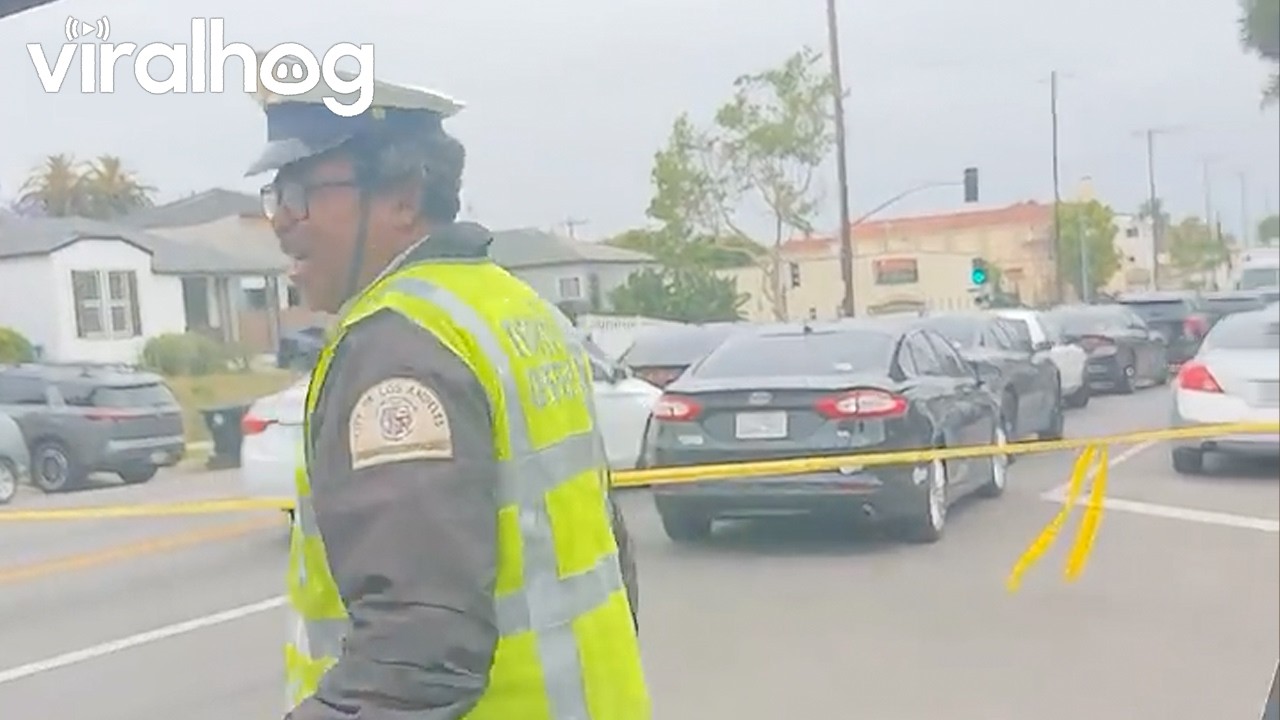 Traffic Officer Gives Full Breakdown Of Scene || ViralHog