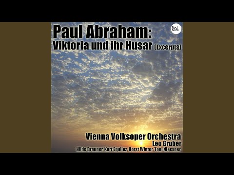 Viktoria und ihr Husar: 3. Meine Mama war aus Yokohama…