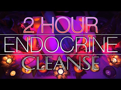 2.5 Hour Endocrine Cleanse Healing Meditation | 432Hz Scale Crystal Singing Bowls | 7 Chakras