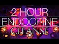 2.5 Hour Endocrine Cleanse Healing Meditation | 432Hz Crystal Singing Bowls | 7 Chakras (No Talking)