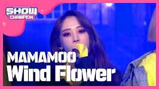 [Show Champion] 마마무-Wind Flower (MAMAMOO - Wind Flower) l EP.294