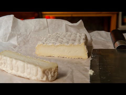 Camembert selber machen - Zuhause im Kühlschrank