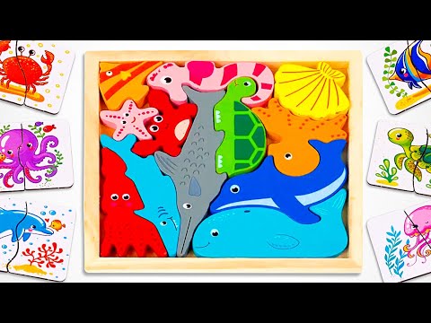 Learn Sea Animal Names & Colors with Activity Puzzle | Preschool Learning Video for Kids & Toddlers
