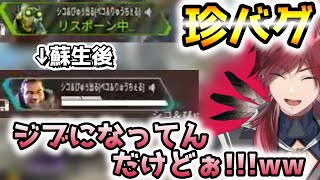 珍しいバグに2日連続で遭遇するAPEX芸人【ローレン・イロアス/切り抜き】