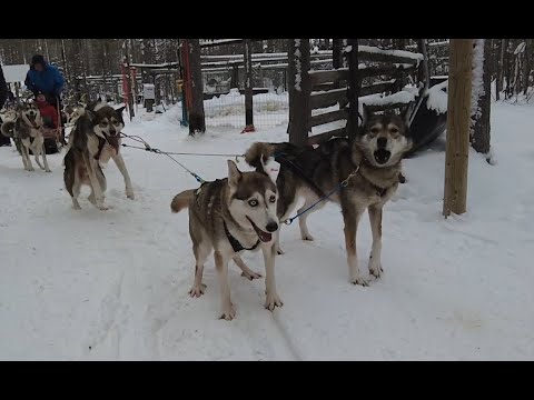 Kerran elämässä koettava!