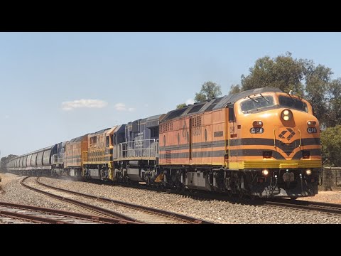 CLP8,CM3305,FQ03,CLP14,CM3316 through monarto with 2182s