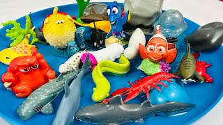 Learn Sea Animal Names | Sea Animals for Kids | Sea Creatures for Kids | Sea Animal Toys for kids