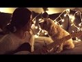 Christmas Time Is Here - Daniela Andrade ft. Cutest ...