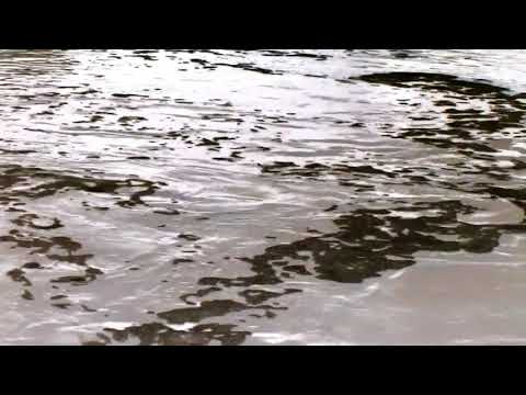 Drafted - Helyion (Original Mix)