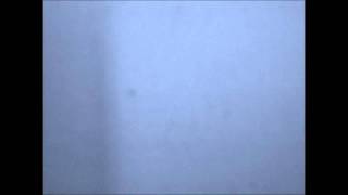 new fast automatic daffodils - working for him