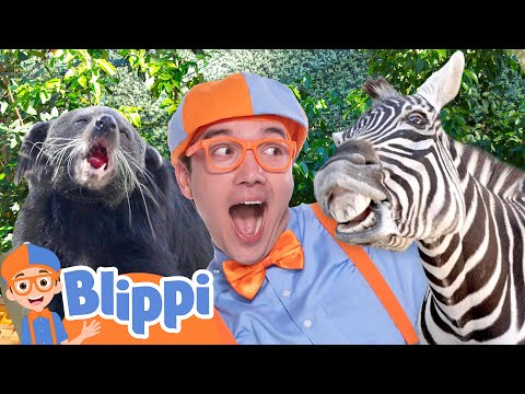 What Animals Will Blippi Meet at the San Diego Zoo? 🦁🐵🐯 Educational Videos for Kids