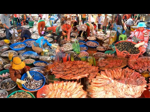 Mercado de peixes surpreendente cambojano Mercado molhado, peixe de água doce por atacado Peixe fresco, marisco, caranguejo