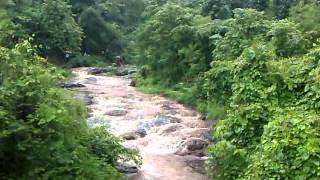 preview picture of video 'Chiplun,Savatsada Waterfall (1).mp4'